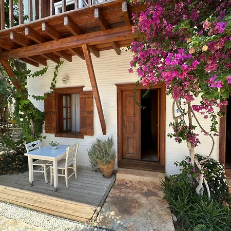 Courtyard Otel *